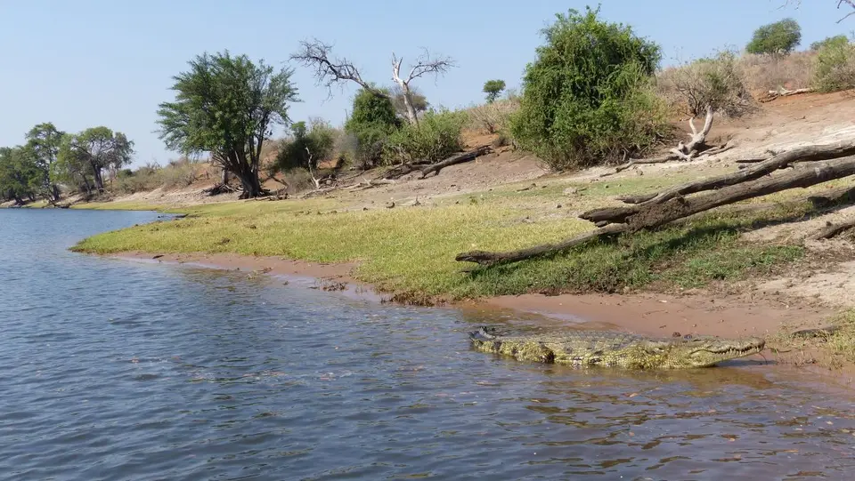 ha3d4d84.JPG