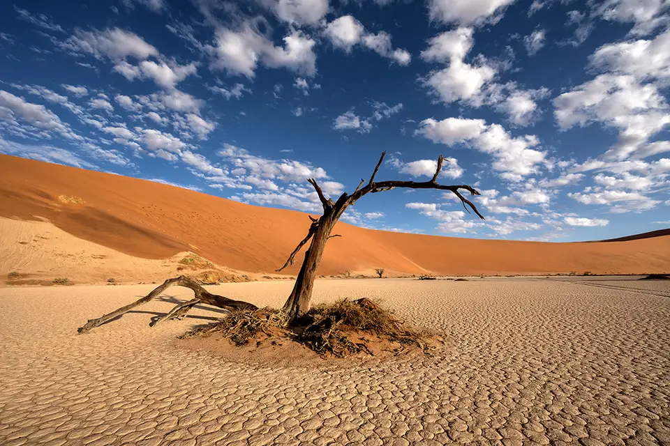 1434Hiddenvlei29042017.jpg