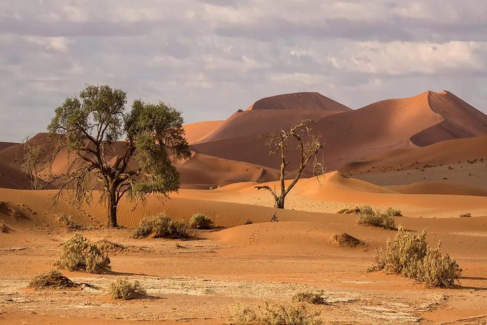 1558Sossusvlei30042017.jpg