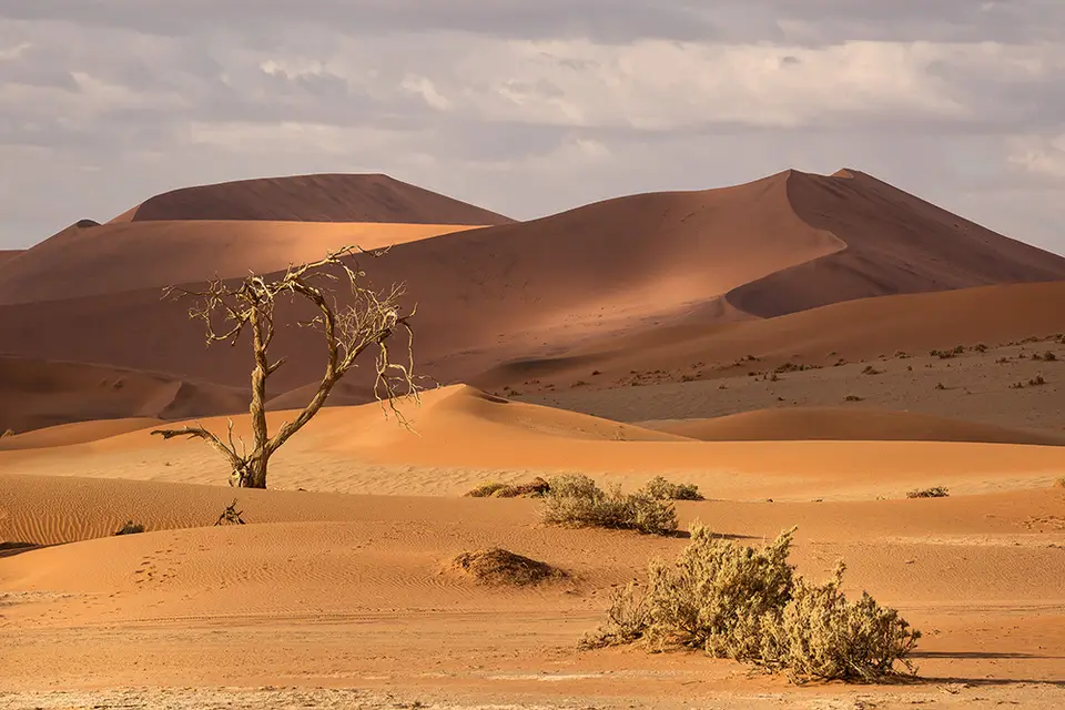 1559Sossusvlei30042017.jpg