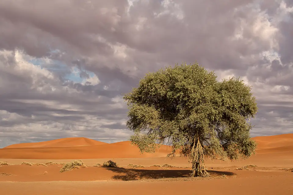 1560Sossusvlei30042017.jpg