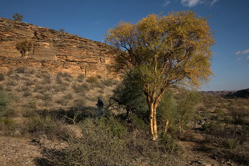 1576ZebraRiverLodge01052017.jpg