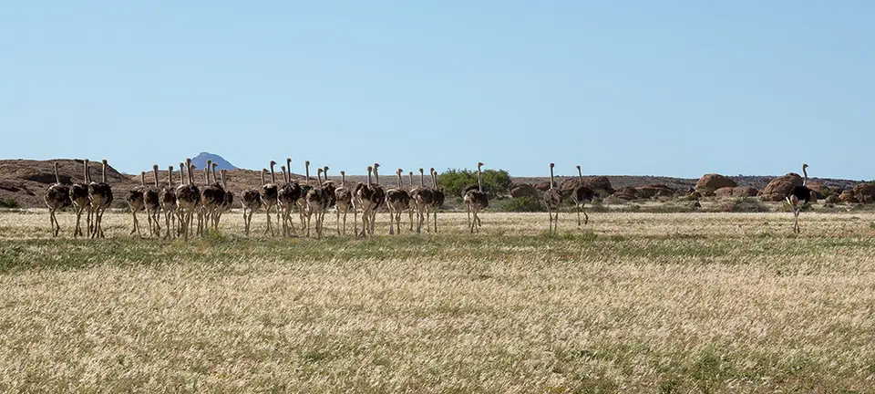 1772RockSculptureTrail03052017.jpg
