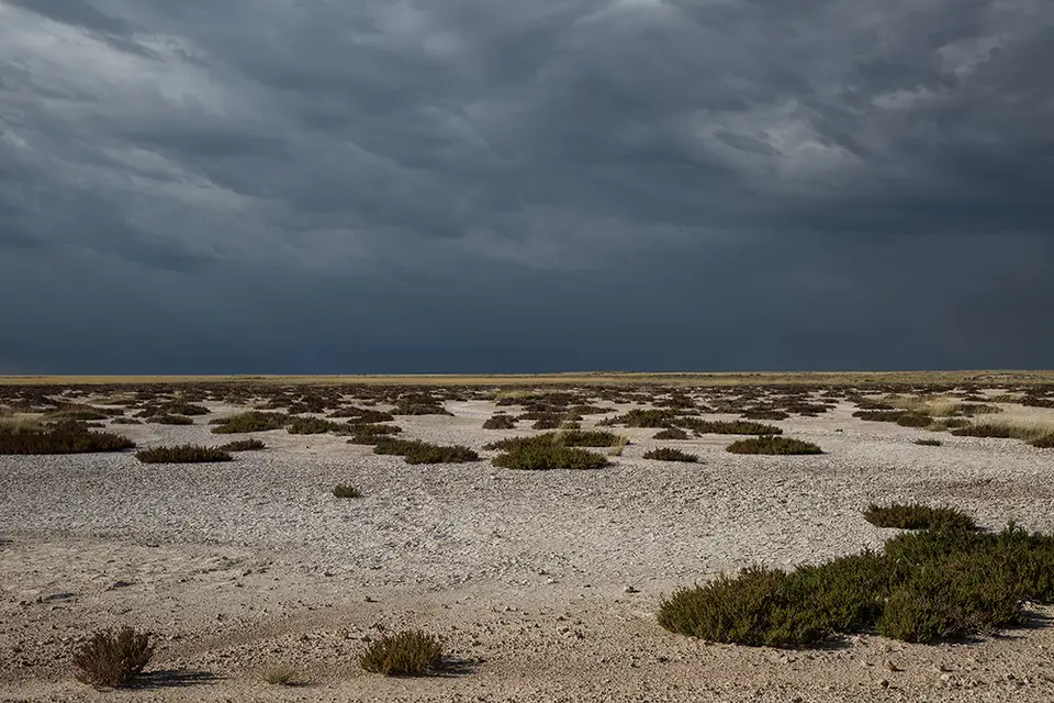 2768Etosha11052017.jpg