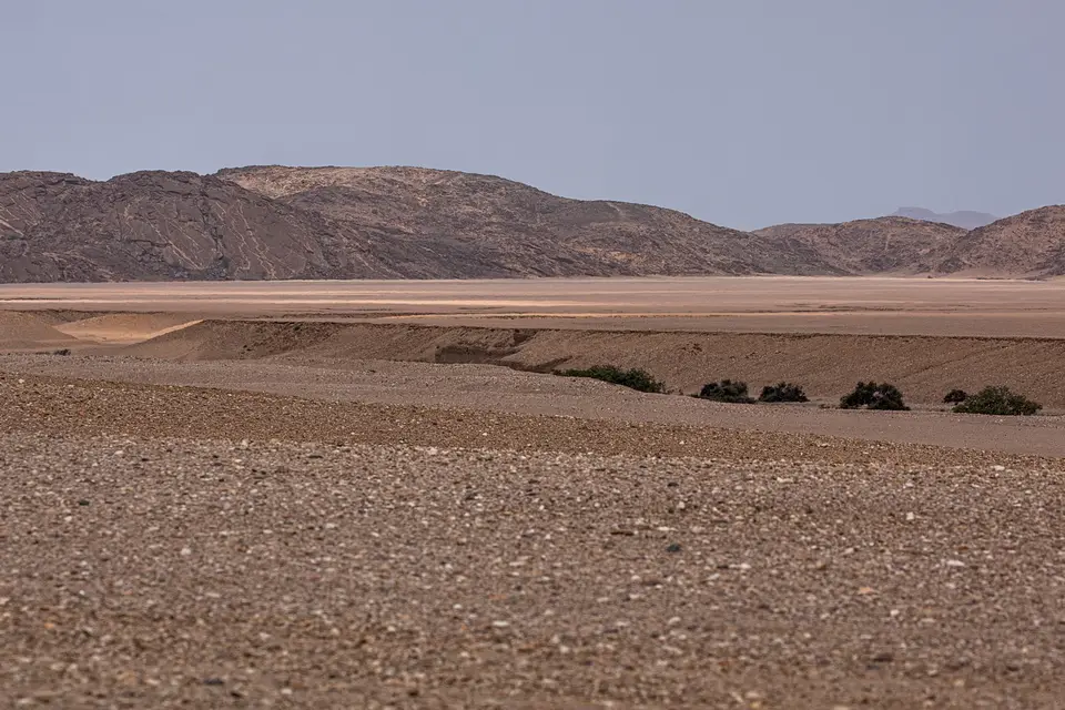 NABW000038.jpg