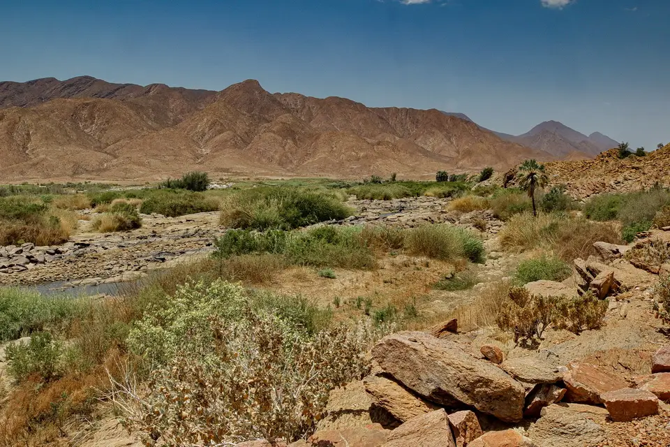 NABW000050-2.jpg