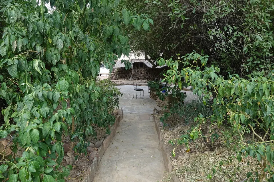 NABW000069-2.JPG