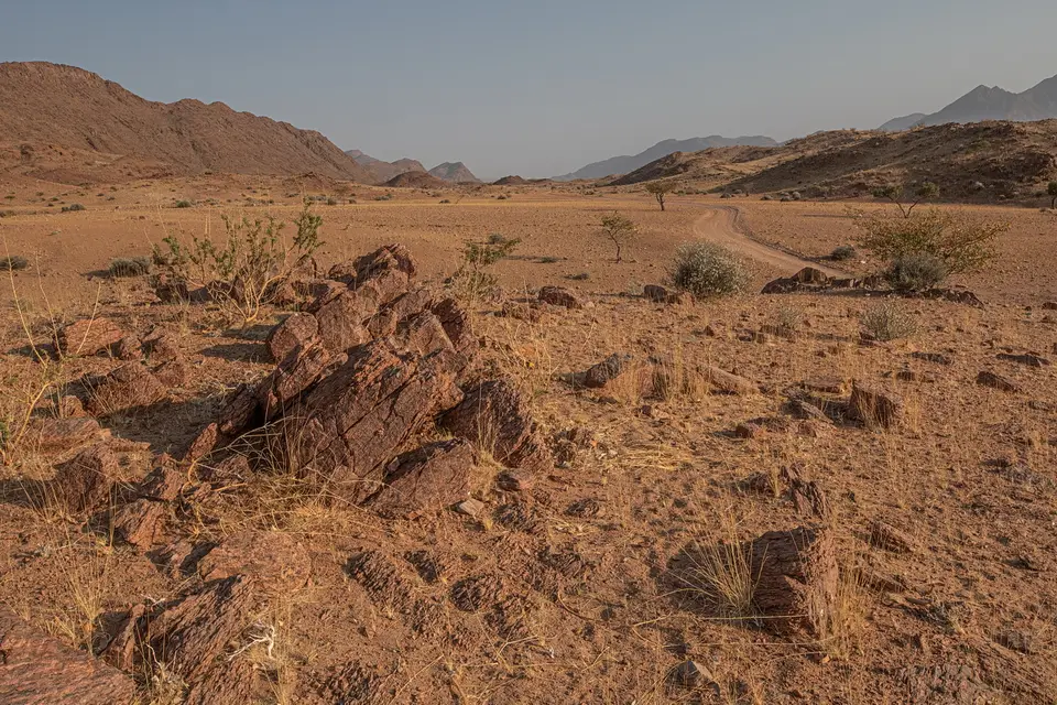 NABW000106-2.jpg
