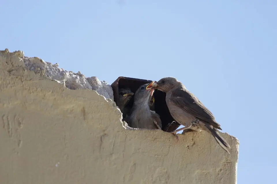 hf62e09c_2014-07-11.JPG