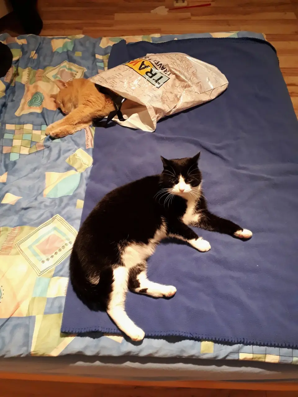 Z20180110_212742.jpg