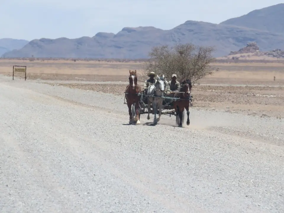 h1264414.JPG