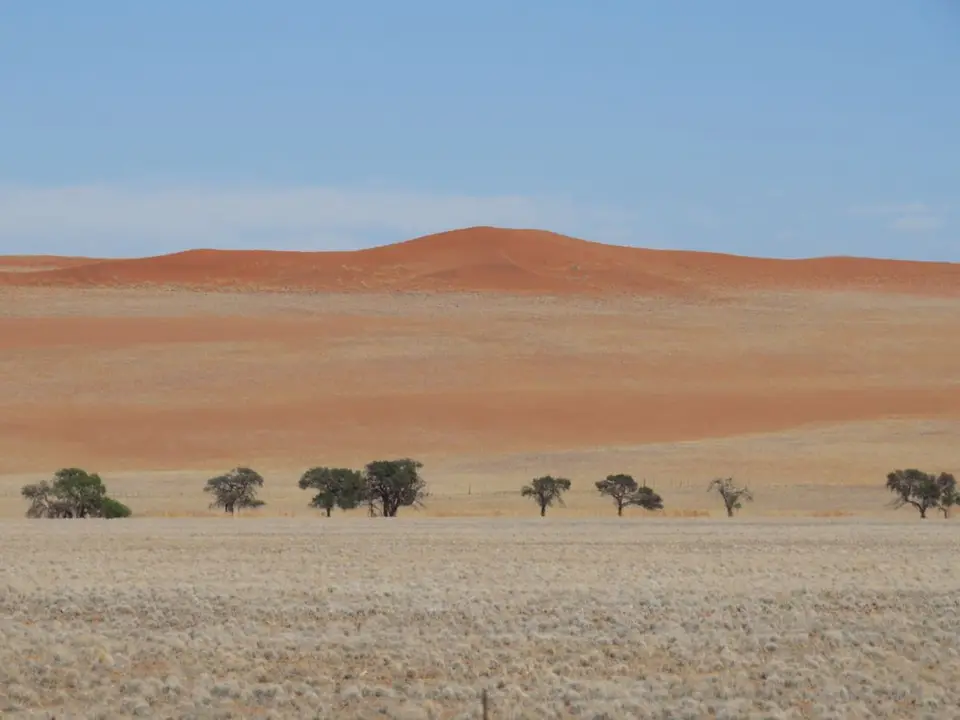 h6666364.JPG
