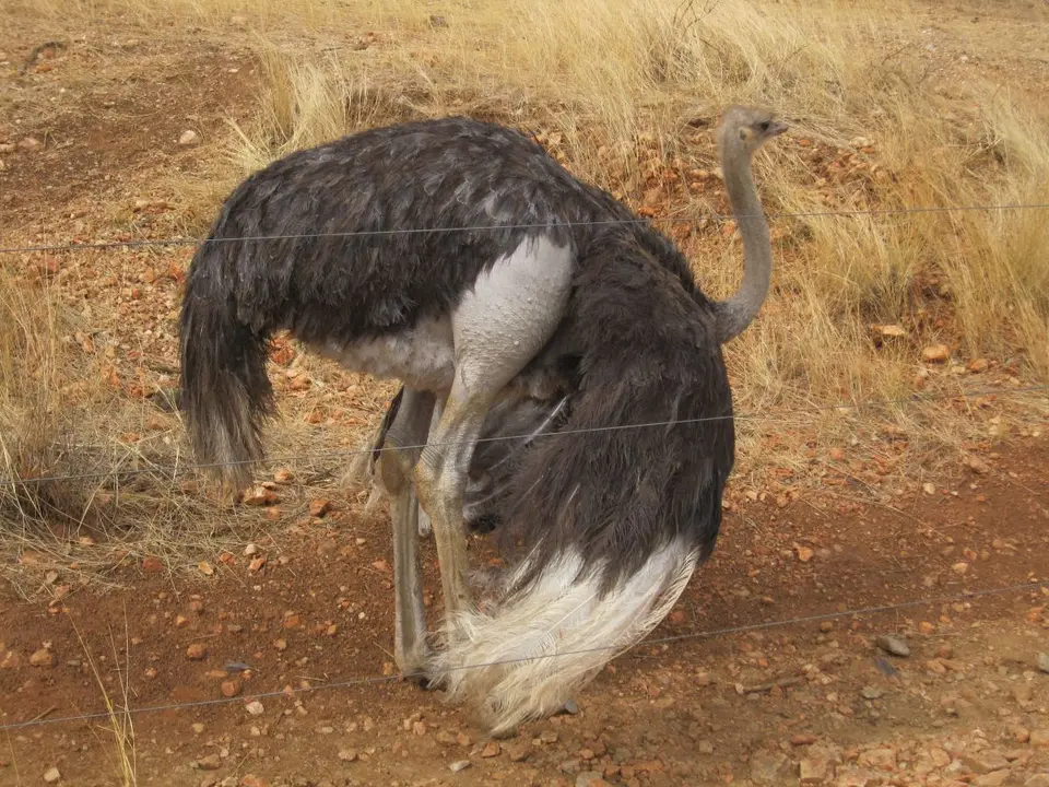 hb222758.JPG