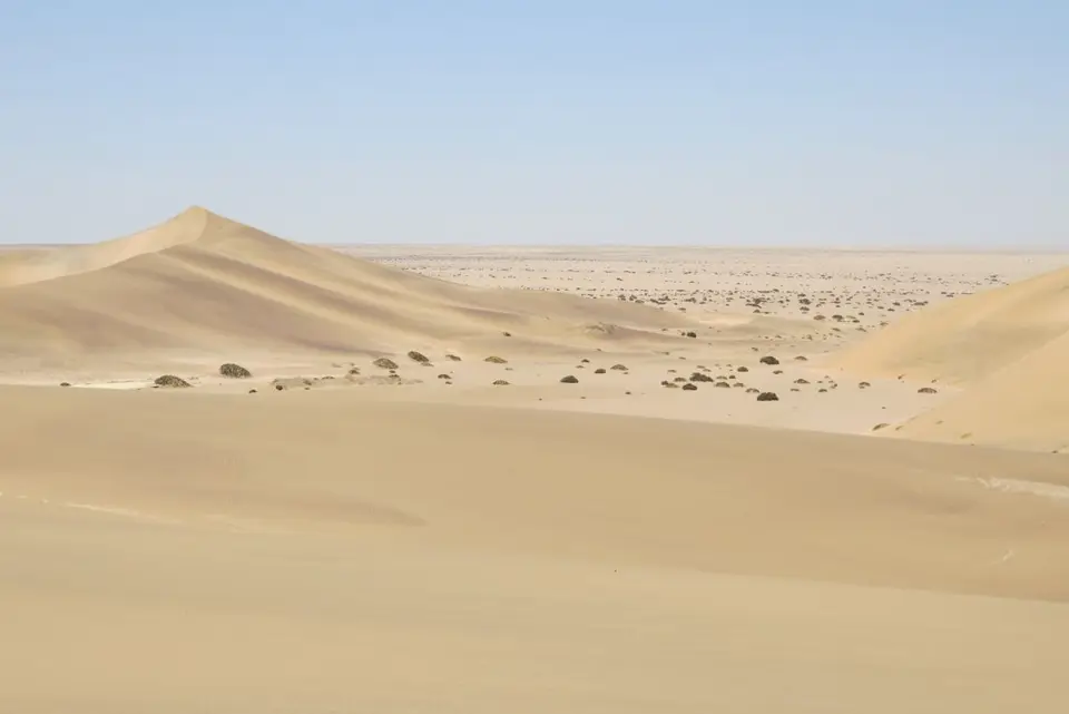 hcabd5f6.JPG