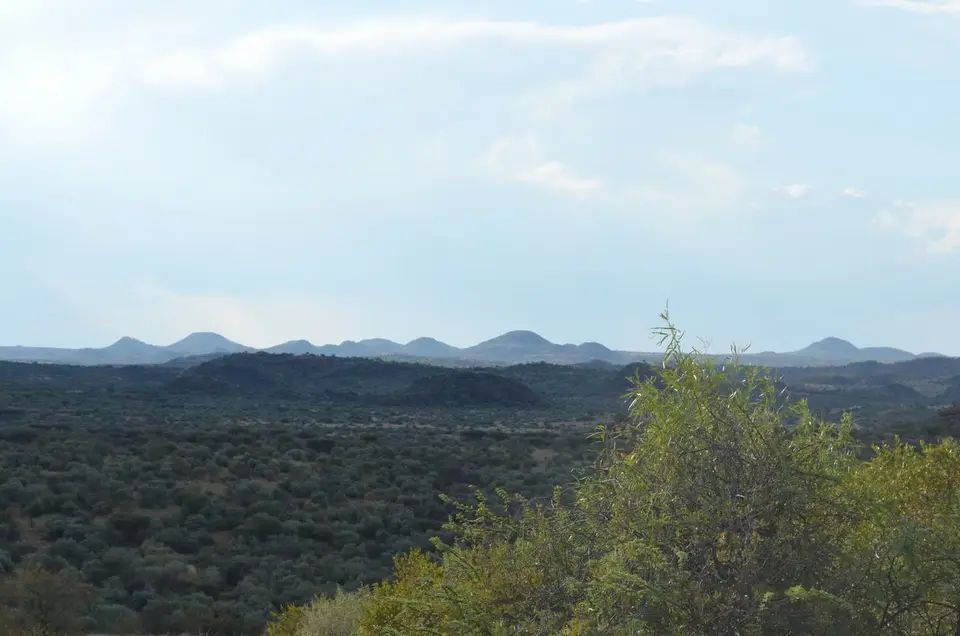 DSC_0180.JPG