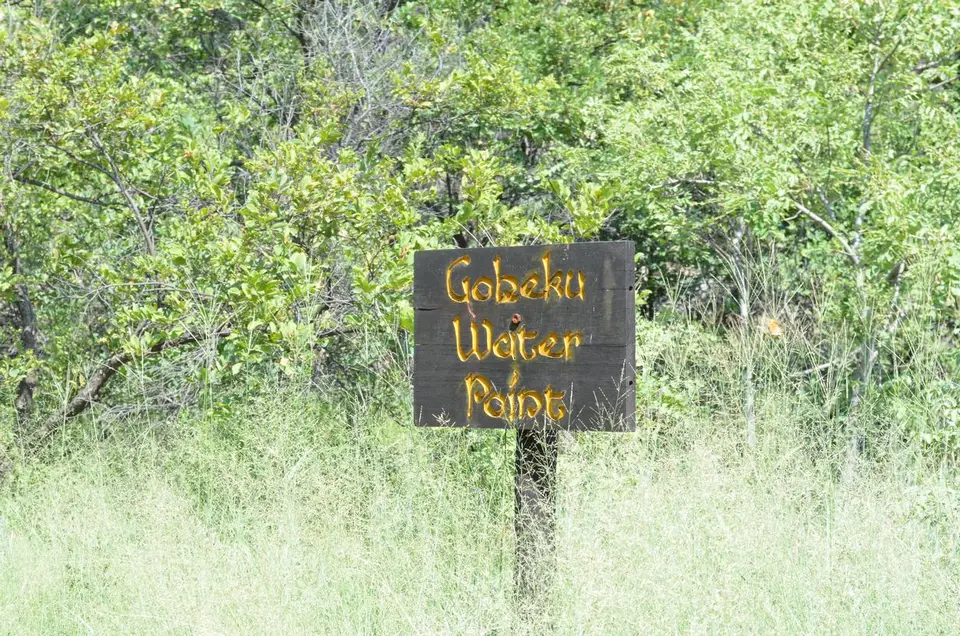DSC_0518.JPG