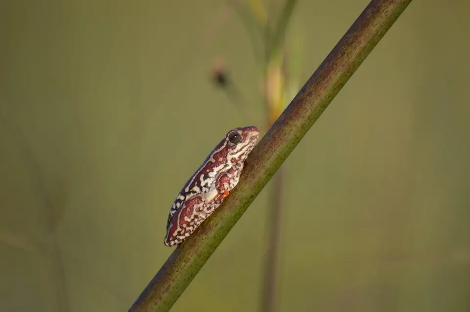 DSC_0666.JPG