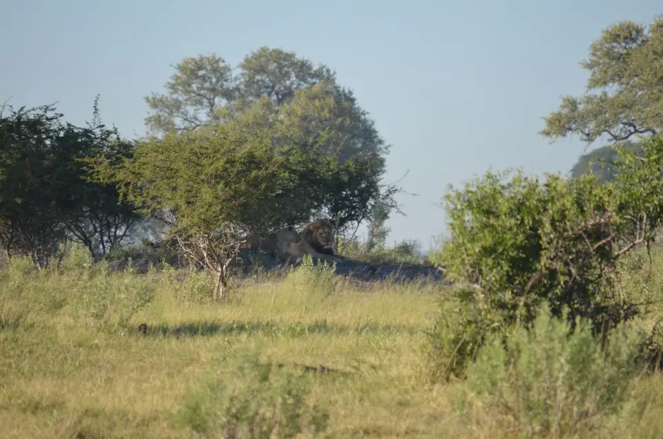 DSC_0864.JPG