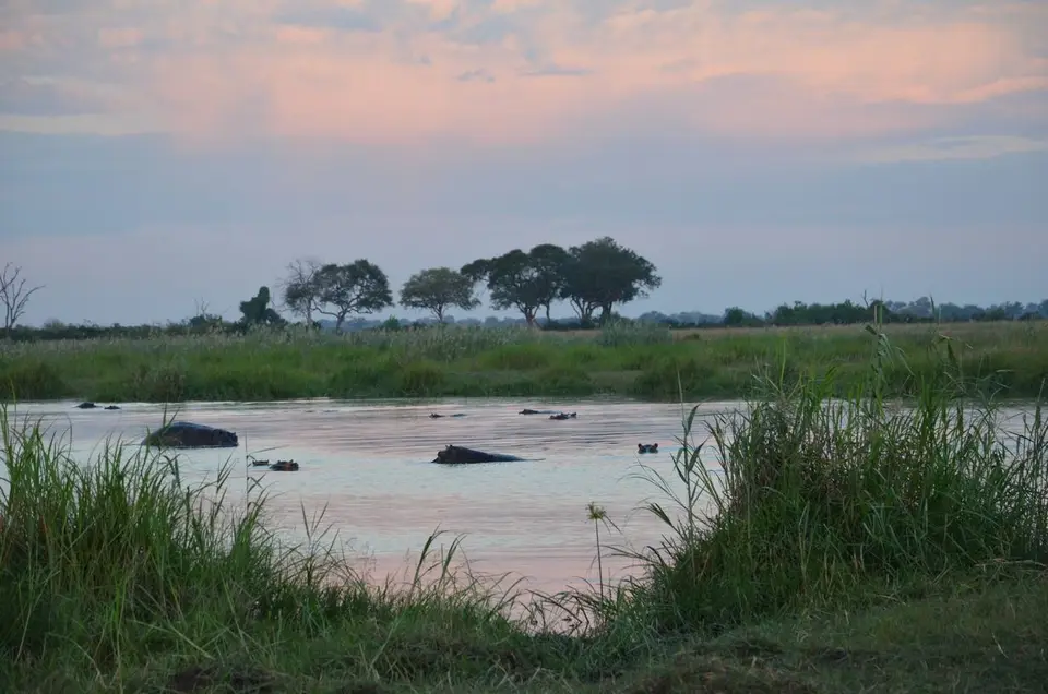 DSC_1027.JPG