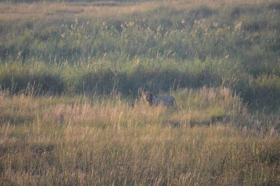DSC_1073.JPG