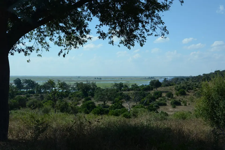 G71_0249.JPG
