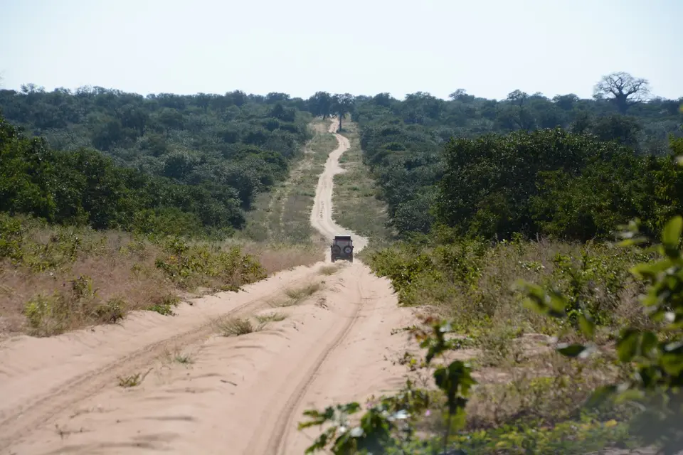 G71_3734.JPG