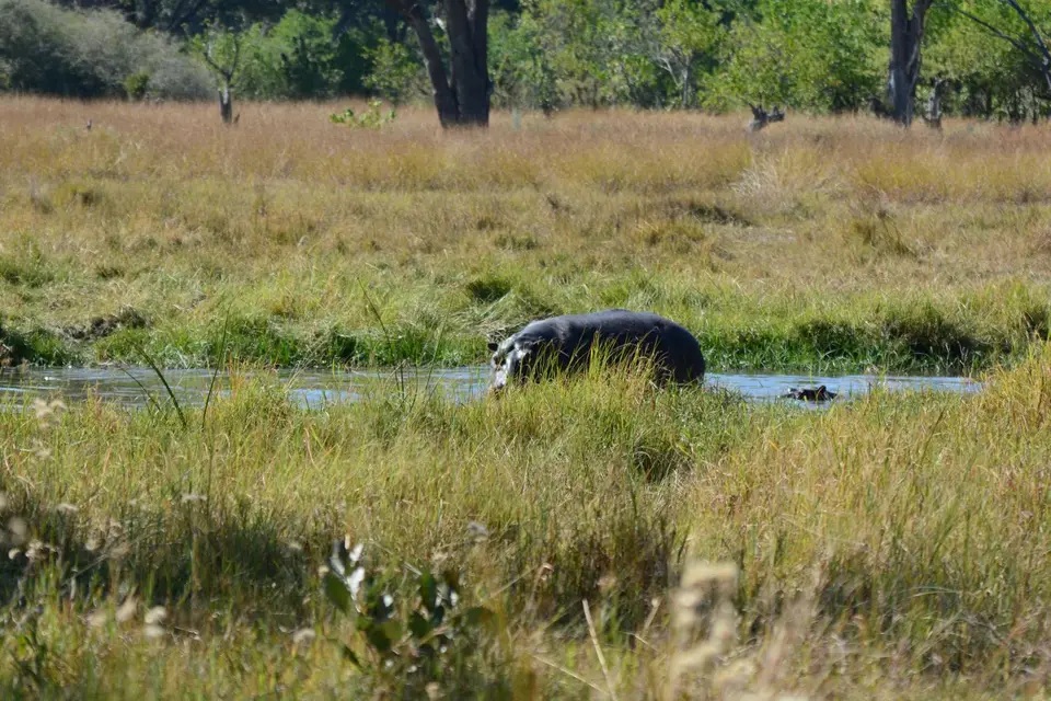 G71_5599.JPG