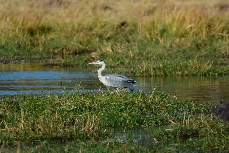 G71_5759.JPG