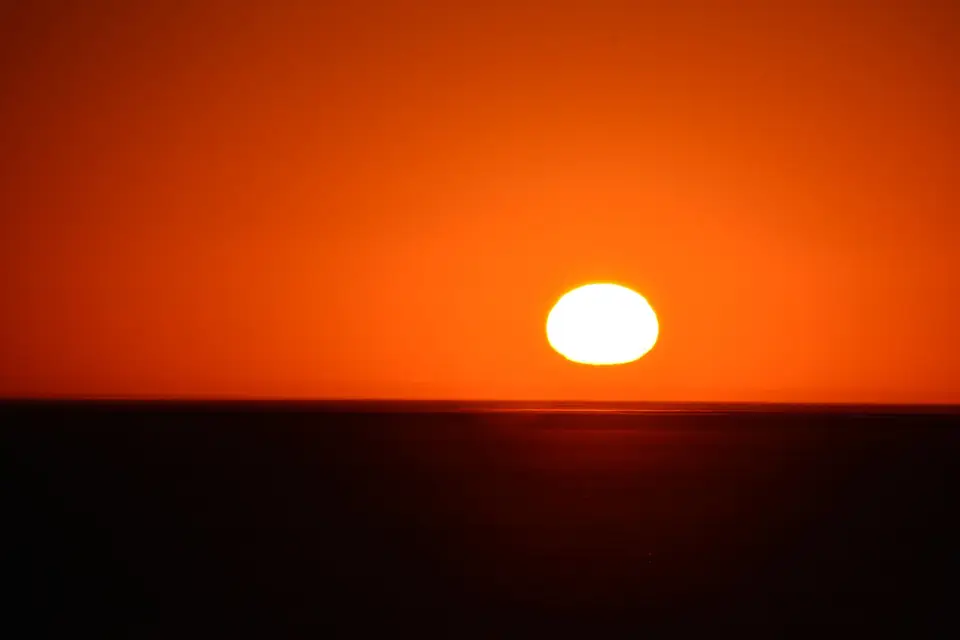 G71_5981.JPG