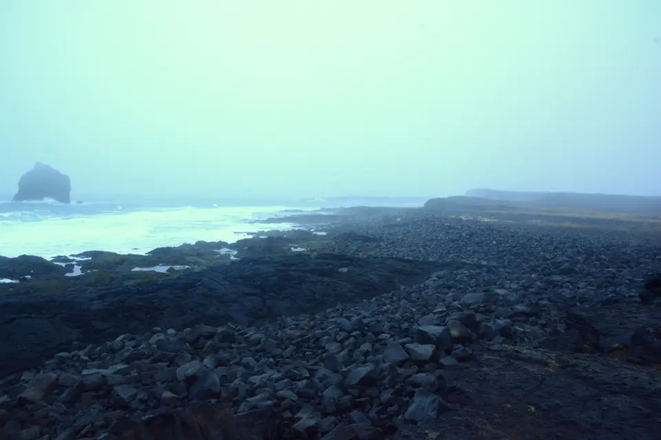 G71_6651.JPG