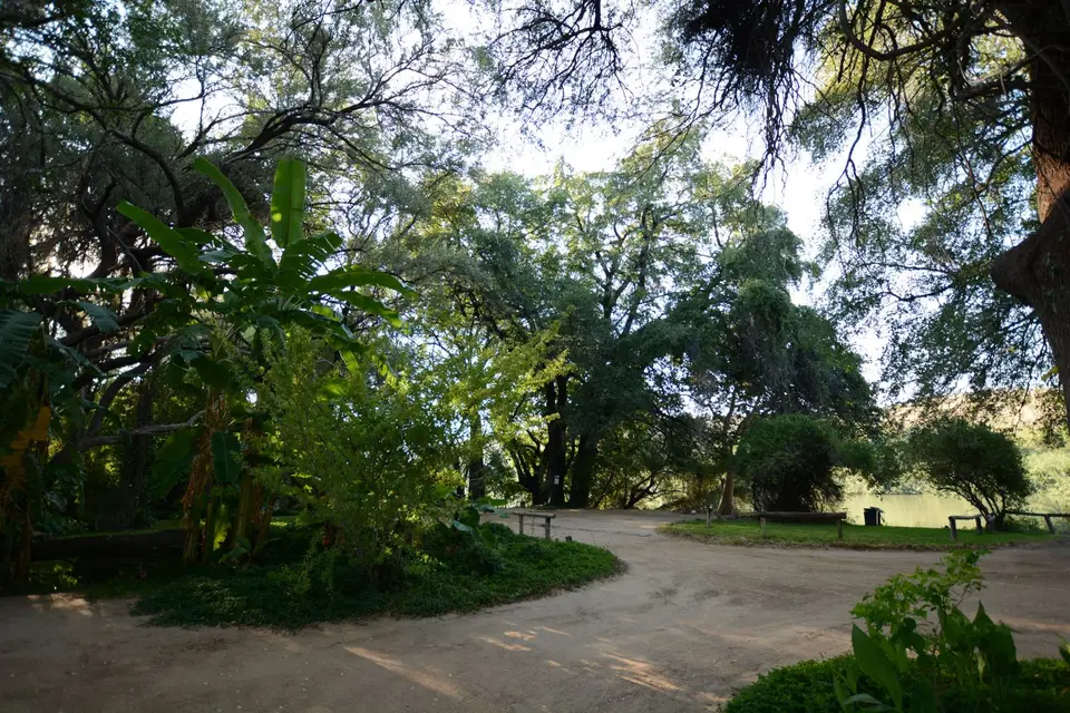 G71_7545.JPG
