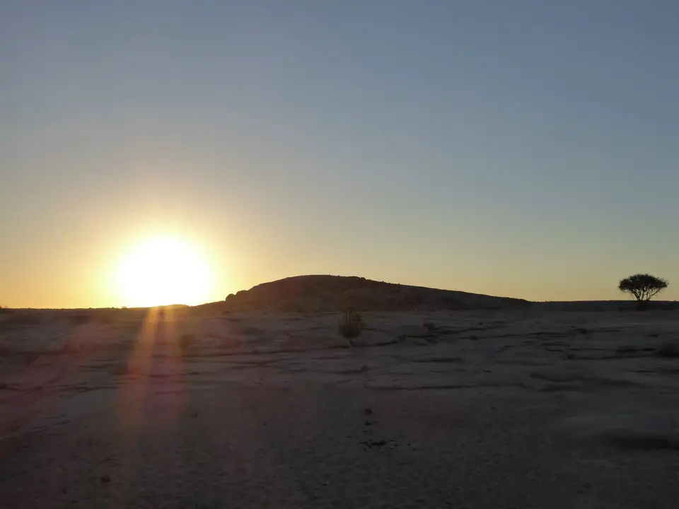P1010994-2.JPG