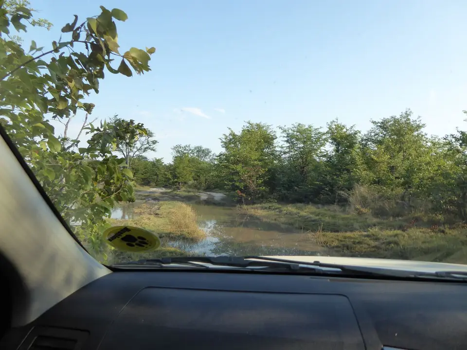 P1050816.JPG