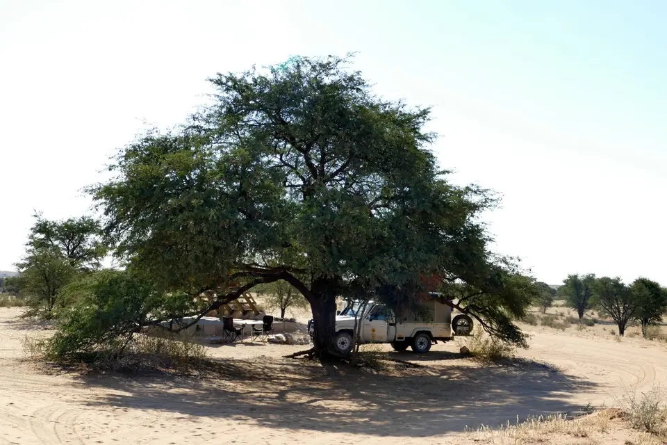 P1100846.JPG