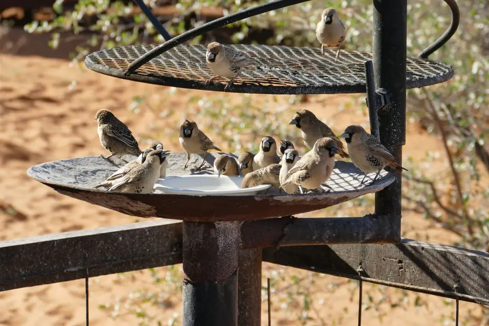 P1110274.JPG