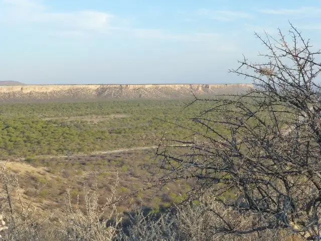 h0445b74.JPG