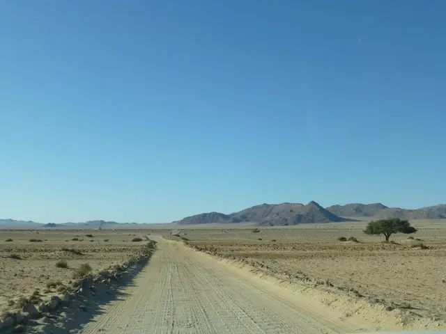 h1131794.JPG