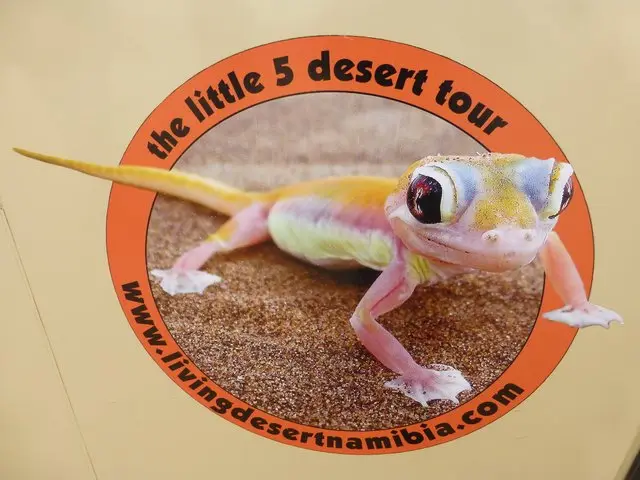 h1c0e697.JPG