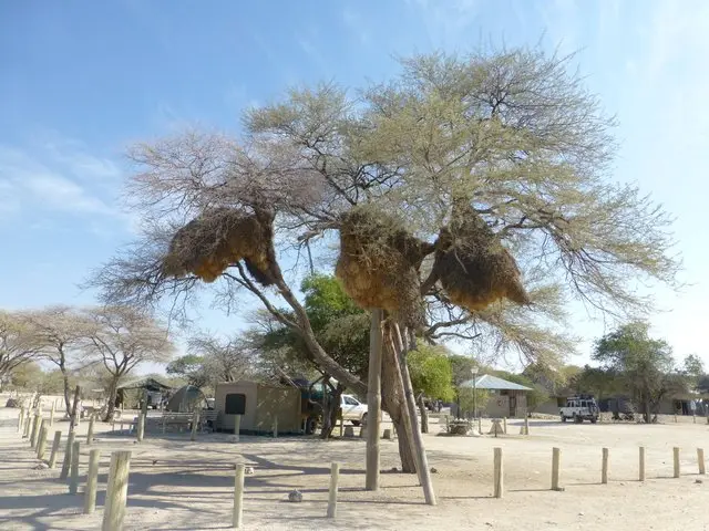 h5d50475.JPG