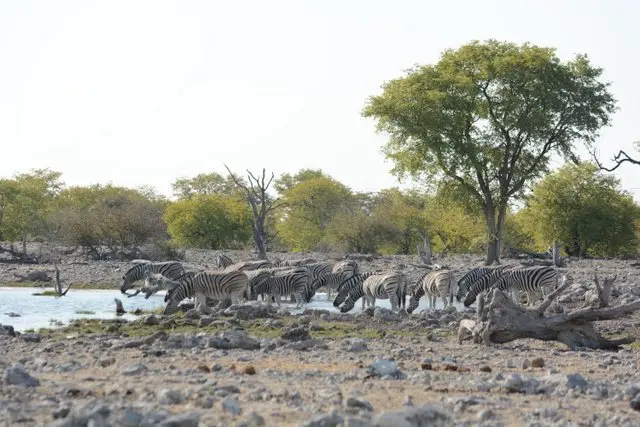 h6802e59.JPG