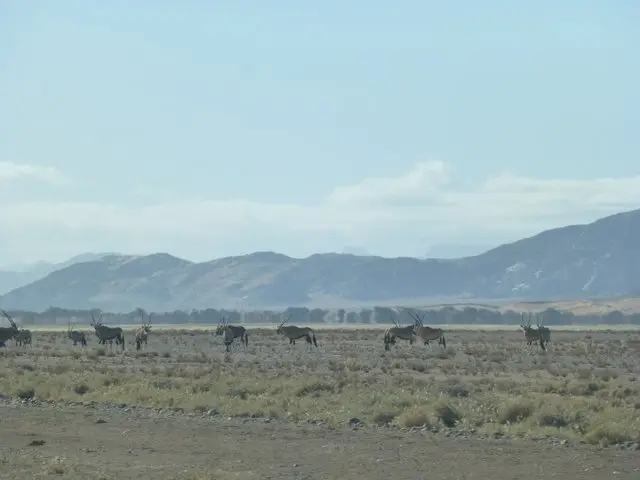 h73056c0.JPG