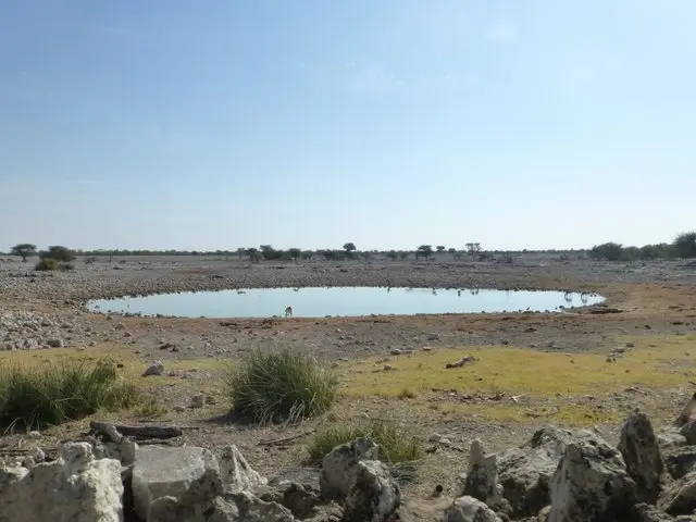 h7504587.JPG