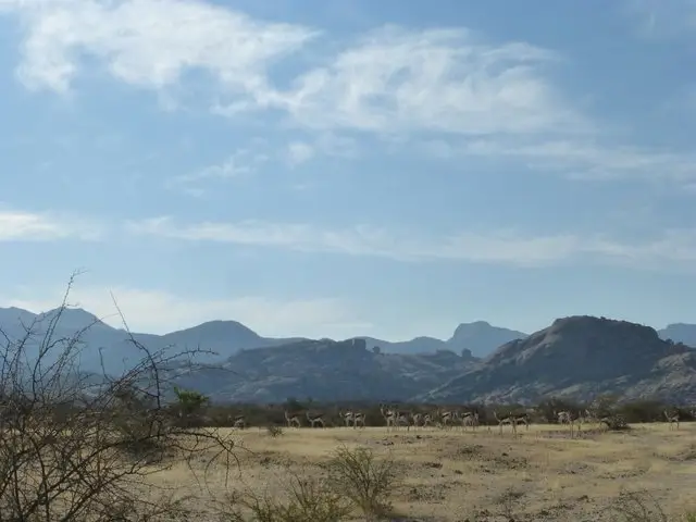 h7575189.JPG