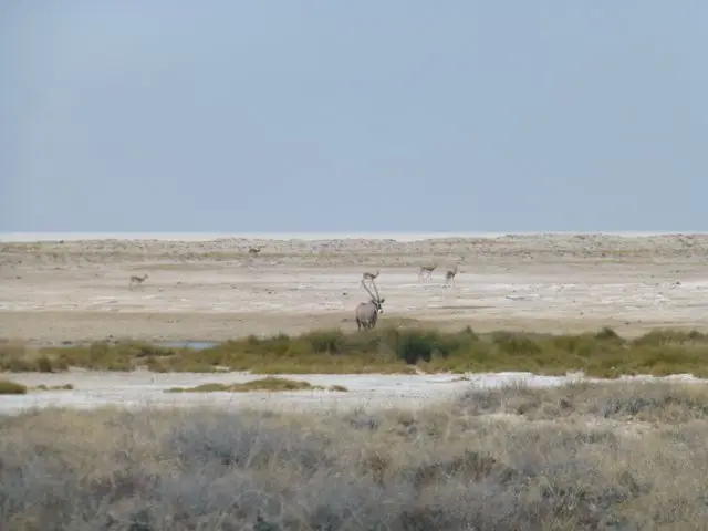 h79f3658.JPG