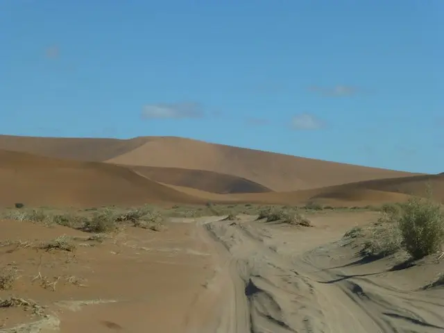 hb5d219b.JPG