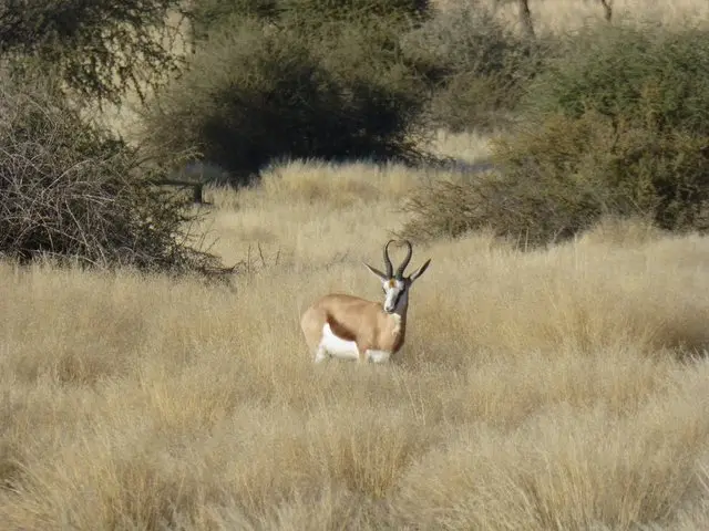 hc0560f6.JPG