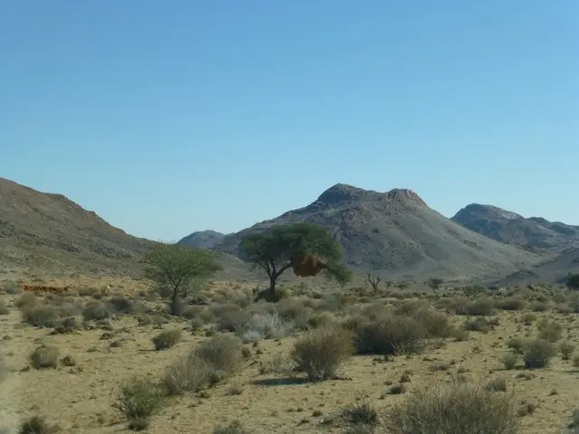 hdc10061.JPG