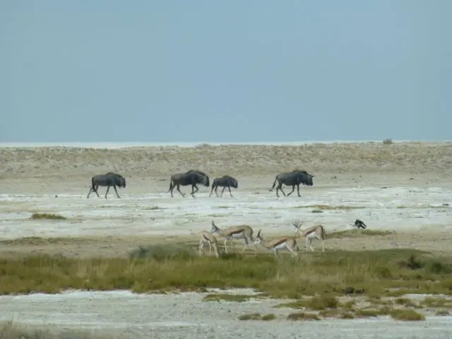 hf966429.JPG