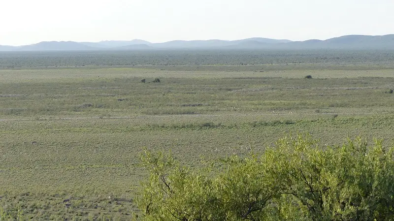 h10f8517.jpg