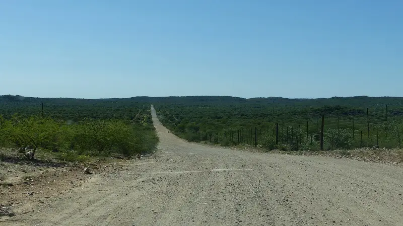 h1470319.jpg